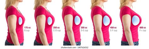 Visual Breast Size Comparison