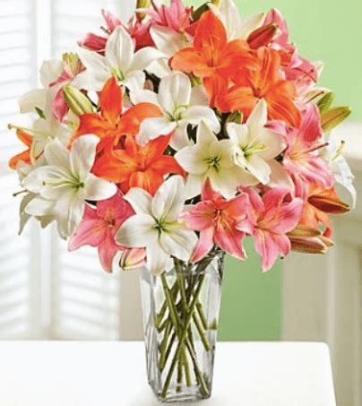 Phone numbers, email addresses, links to personal or business websites, skype/telegram/whatsapp etc. 1800Flowers Canada Promo Code Offers: Save Up to 20% Off ...