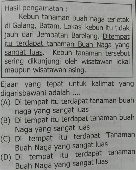 Soal Bahasa Indonesia Ejaan Dan Tanda Baca Tanda Baca Dalam Kalimat