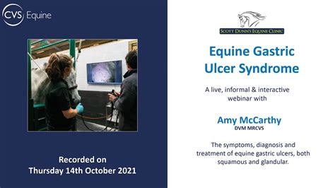 Equine Gastric Ulcer Syndrome Youtube