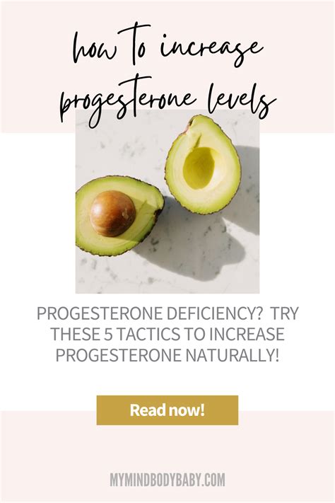 An Avocado Cut In Half Progesterone Deficiency Progesterone Levels