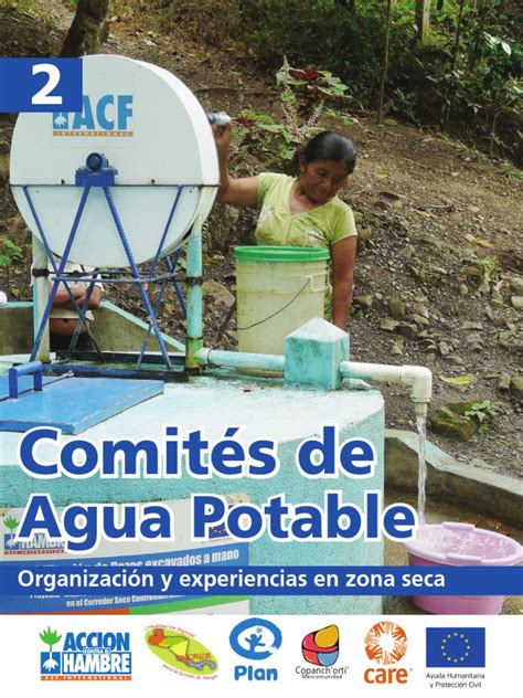 Comités De Agua Potable Organización Y Experiencias Agua Hombre