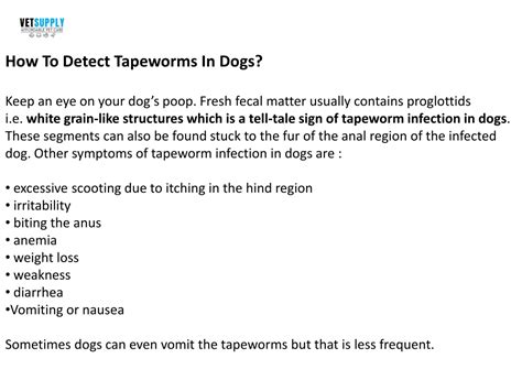 Ppt Tapeworms In Dogs Causes Symptoms And Treatment Vetsupply