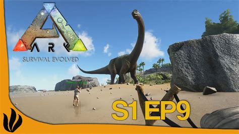 Ark Survival Evolved Giganotosaurus And Rex Size Comparison Youtube Fad