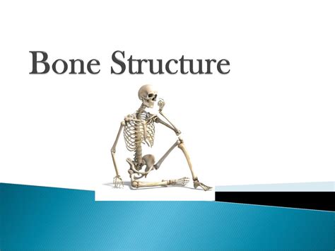 Bone Structure Ppt Download