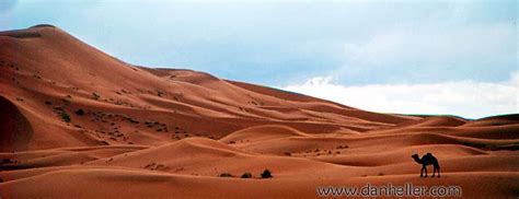 The sahara the largest arid desert in the world, stars in morocco with a mixture of sand and rock. Click Here for Color Photos of the Sahara Desert