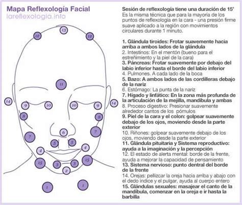 Página Metáfora Compacto Mapa De Reflexologia Facial Extraordinario