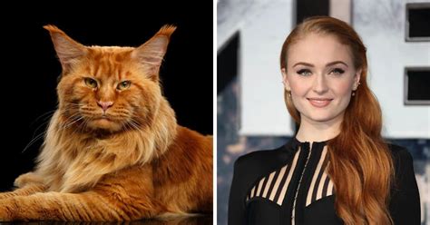 Animals That Look Like Famous People