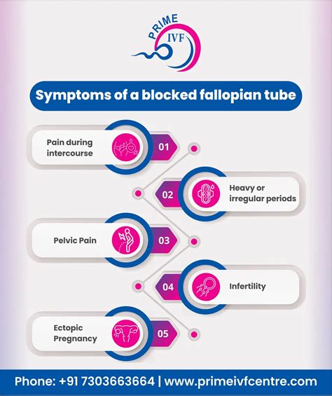Blocked Fallopian Tube Symptoms Causes Diagnosis And Treatment Options