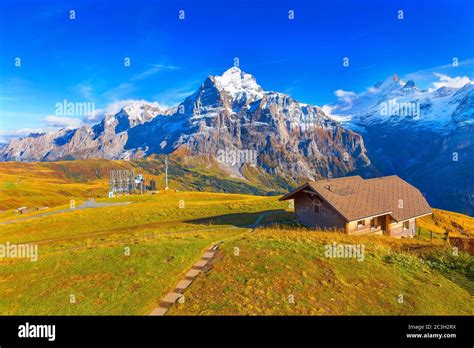 Chalet De Madera Tradicional Grindelwald Fotos E Imágenes De Stock Alamy