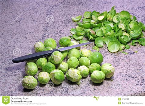 From the ready to cook chopped veggies team, we are delighted to inform you that from the 1st of may 2020 business will be operating as usual, . Brussel Sprouts Prepared And Ready To Cook. Stock Image ...
