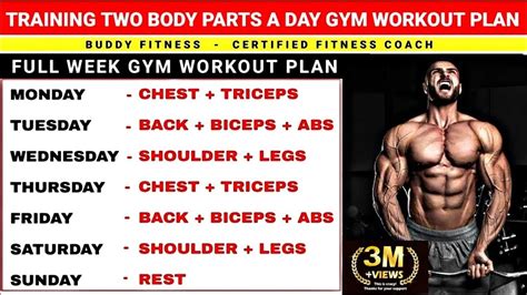 Two Body Parts A Day Workout Plan Gym Workout Two Body Parts Workout Schedule Weightblink