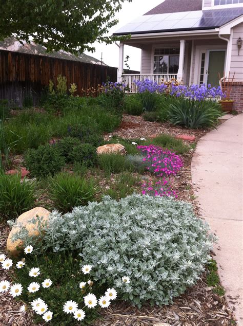 Xeriscaping Mile High Water Talk