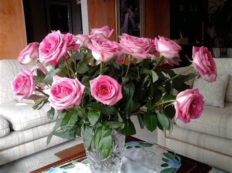 Rosas Cor De Rosa Flores · Foto Gratuita No Pixabay