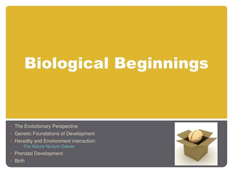 Ppt Biological Beginnings Powerpoint Presentation Free Download Id