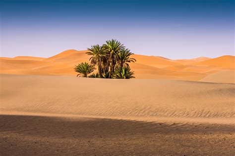 8 Días A Todo Gas Por El Desierto Del Sáhara
