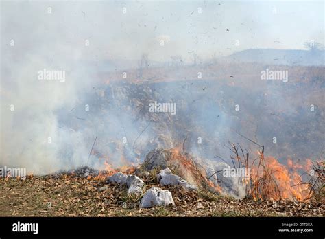 Landscape View Of A Burning Land Stock Photo Alamy