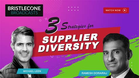 3 Strategies For Supplier Diversity Bristlecone