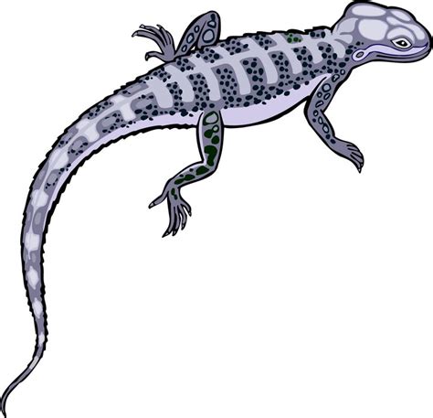 lizard clipart 12 wikiclipart