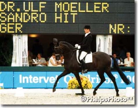 He stands approximately 17 hands (68 inches, 173 cm). HW Farm proudly presents some information about Stallion ...