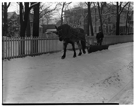 Horse Drawn Snowplow Ann Arbor District Library