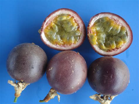 The interior of its rind has soft creamy white walls and encases an exceptionally juicy yellow. passion fruit