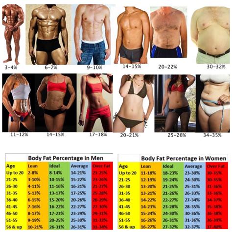 What Is My Body Fat Percentage Personal Trainer Birstall Batley