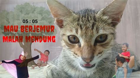 Download mp3 video lucu kucing dan video mp4 gratis. Kucing lucu - YouTube
