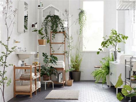 Große Auswahl an Pflanzen für Bäder mit viel Licht | Natural home decor