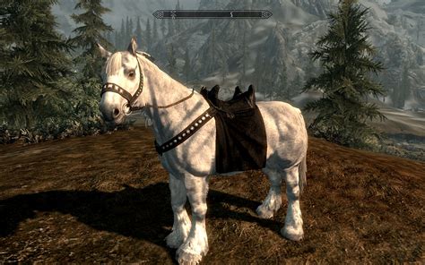 Black Saddles For All Horses At Skyrim Nexus Mods And Community
