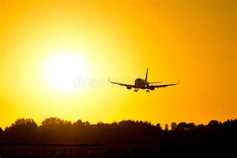 Airplane Landing During Sunset Stock Photo Image Of Plane Boeing