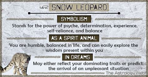 To see a black cat in your dream indicates that you are experiencing some fear in using your psychic abilities in particular, if the black cat is biting, clawing or attacking you, then the dream means that you it also indicates destiny or some magical, spiritual force. Snow Leopard Symbolism Spirit Animal Dream | Snow leopard ...