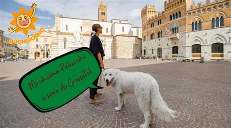 Italian Dog Names Find Out The Best Italian Inspired Pet Names 50