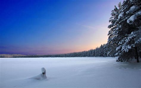 Finland Wallpapers Top Free Finland Backgrounds Wallpaperaccess