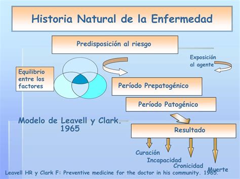 Ppt Historia Natural De La Enfermedad Powerpoint Presentation Free Sexiz Pix