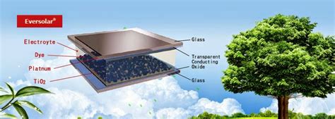 That's why we supply the solar panels and take. Everlight Chemical : Dye Sensitized Solar Cells