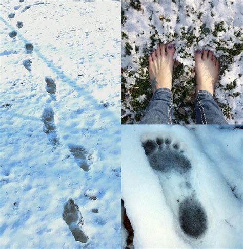 👣first Snowfall A Little Bit Of Barefoot Snow Play 💕 Photo 🍓§§