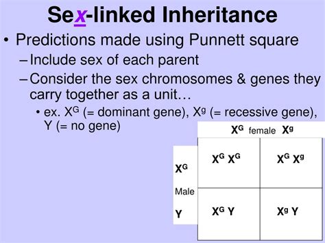 The chance that you are hungry right now and the chance that you're eating right now. What Is A Punnett Square And Why Is It Useful In Genetics ...