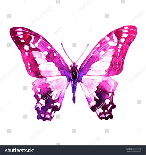 Beautiful Pink Butterfly Isolated On Whitewatercolor Stock Illustration