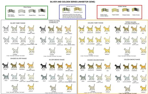 It may take several minutes especially if you have selected several options. SILVER AND GOLD: SMOKE, SHADED AND TIPPED CATS | Cat facts ...