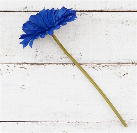 24 blue silk gerbera daisy flowers