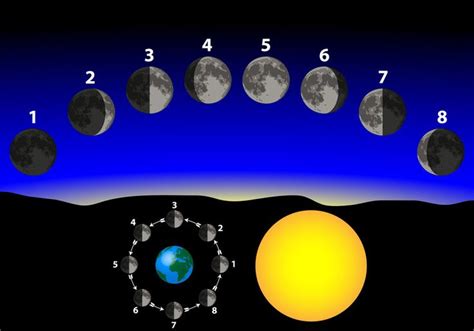 The Eight Astrological Moon Phases Moon Sign Astrology Astronomy