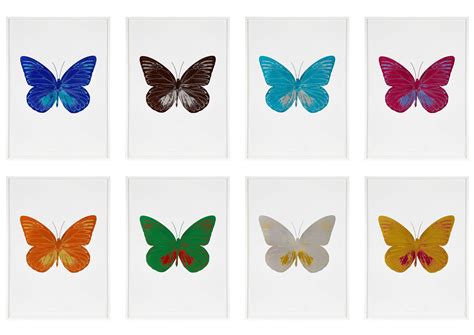 The Soul Damien Hirst Damien Hirst Butterfly Hirst Damien Hirst