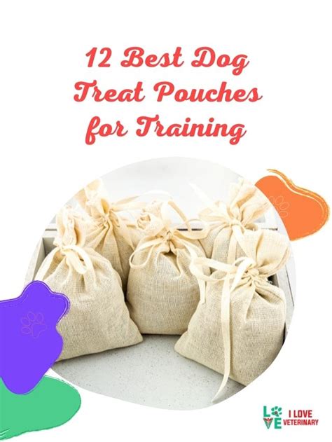 12 Best Dog Treat Pouches For Training I Love Veterinary Blog For