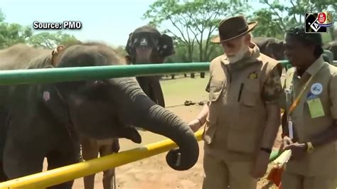 The Elephant Whisperers Oscar Winning Couple Bomman And Bellie Meet Pm
