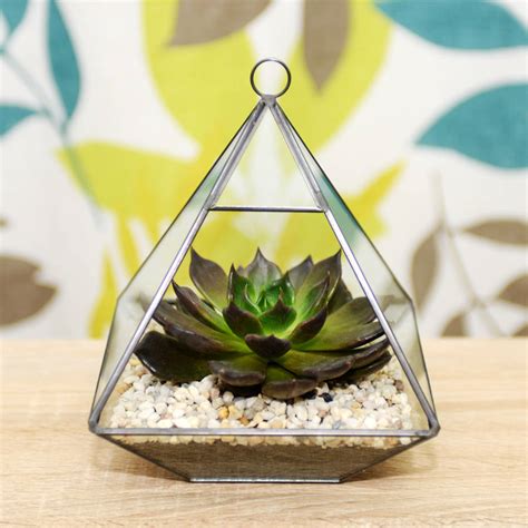 Geometric Glass Vase Succulent Terrarium By Dingading Terrariums