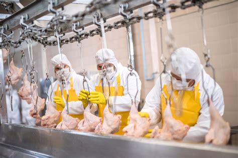 Tyson Begins 48 Million Poultry Production Expansion As Chicken Demand