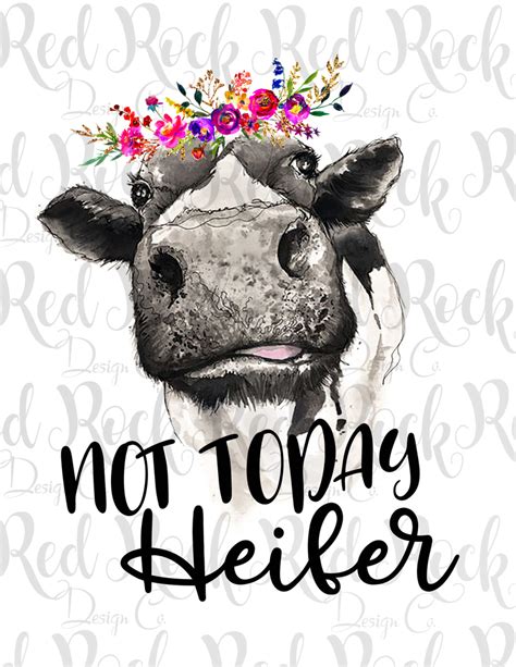 Not Today Heifer Png png image