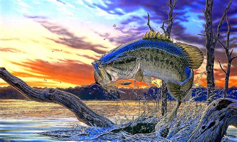 75 Bass Fishing Wallpaper Backgrounds