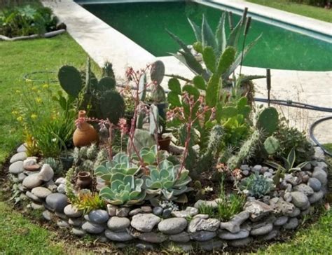 Jardines De Cactus Y Suculentas Cómo Armarlos Ideas Y Consejos